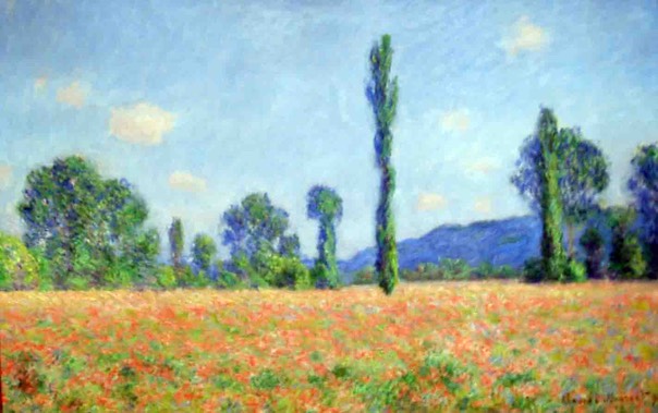 B field Monet